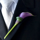 purple miniature calla boutonniere