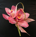 pink cymbidium orchid corsage