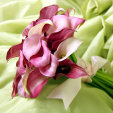 light pink miniature calla lily bouquet