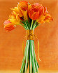 simply elegant tulip bouquet