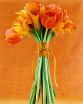 simply elegant tulip bouquet