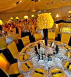 chair covers